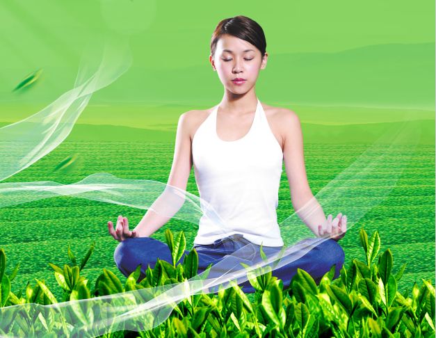UserProfile:贝尔加莫大学硕士成绩单